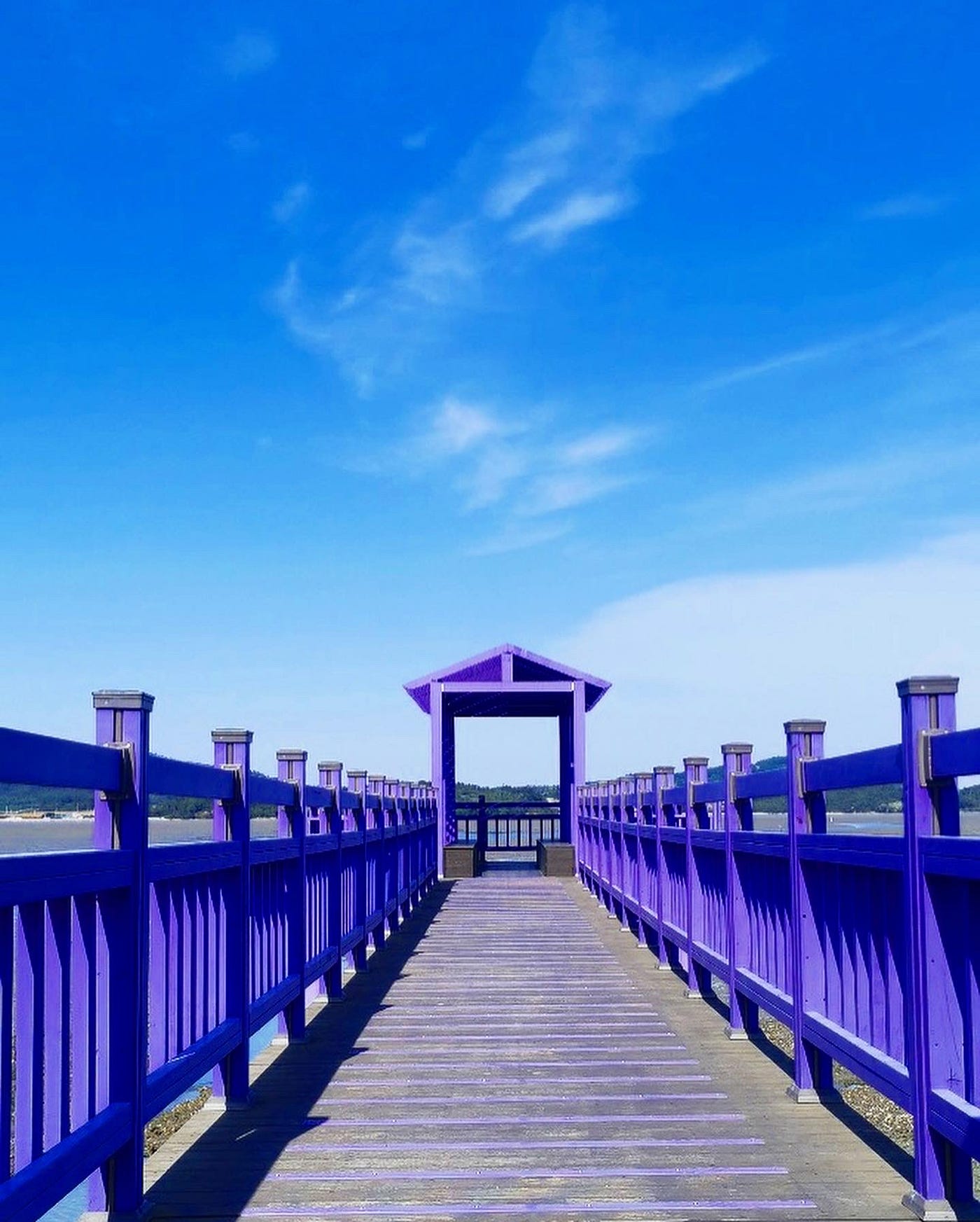 Custom Placeholder Image