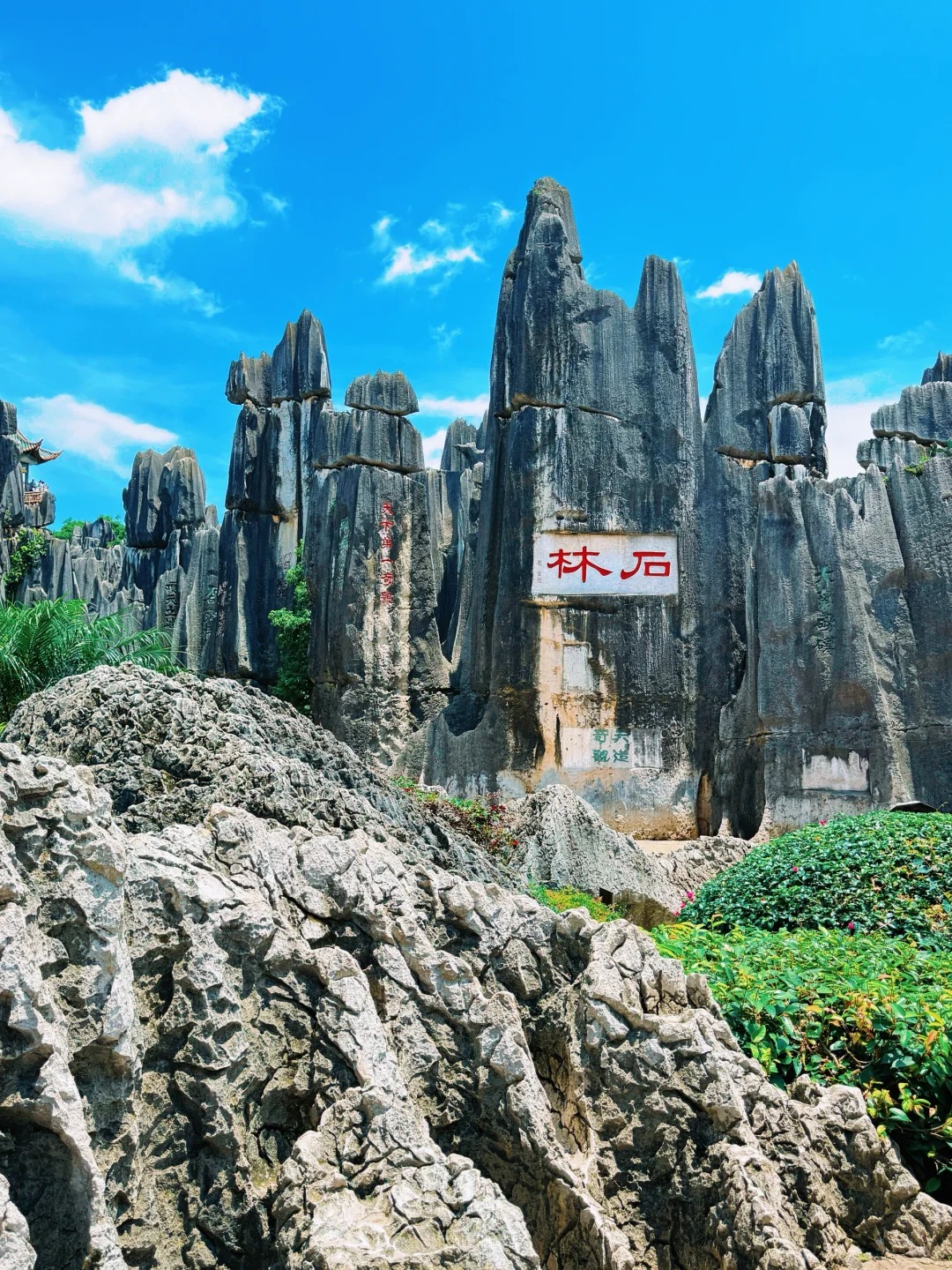 Custom Placeholder Image