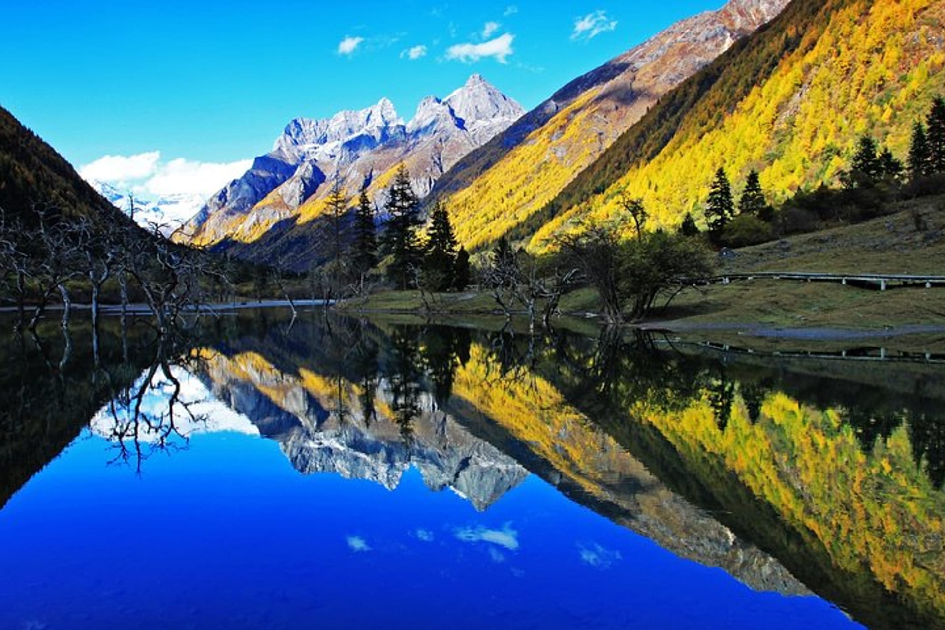 Custom Placeholder Image