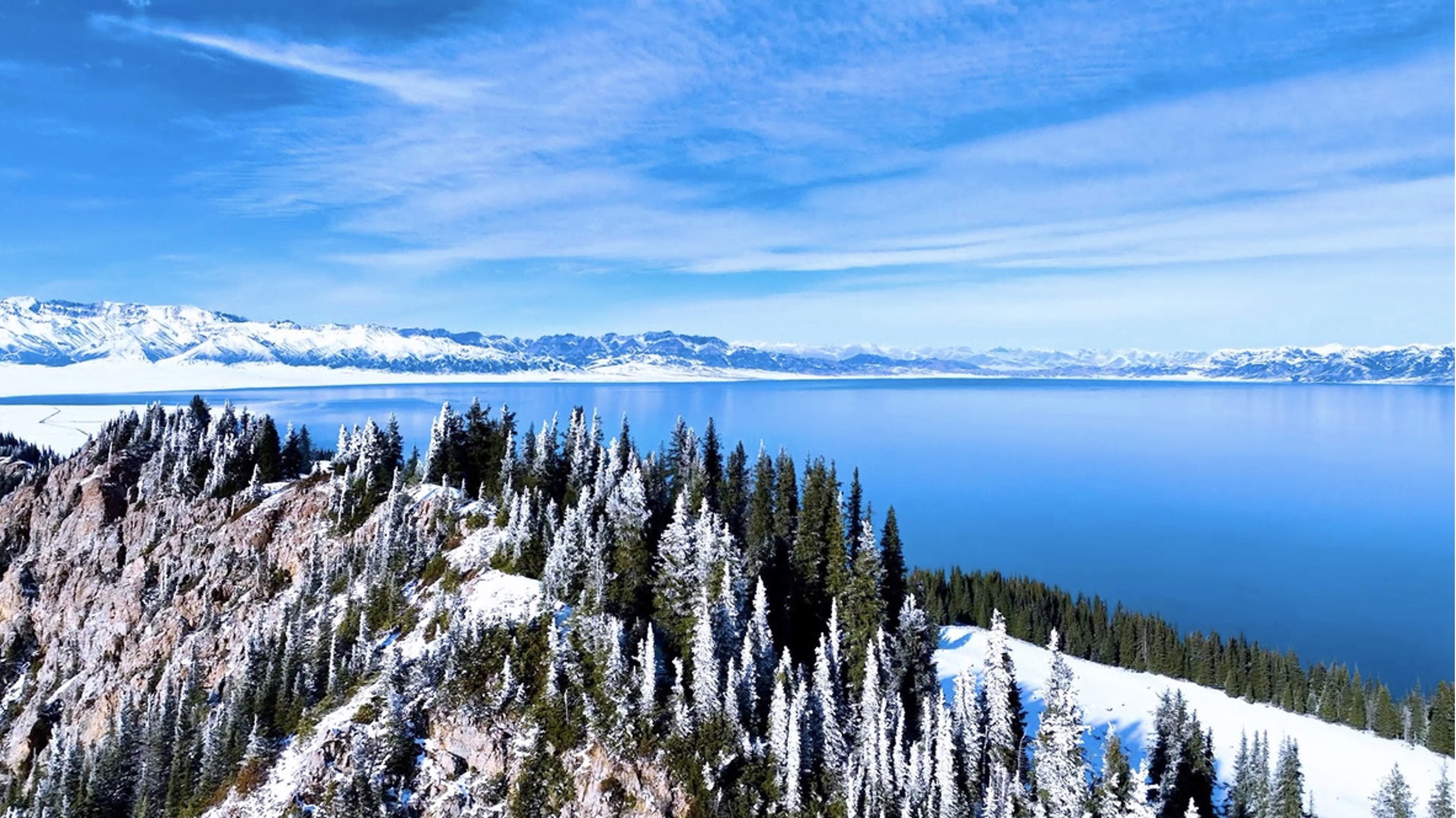 Custom Placeholder Image