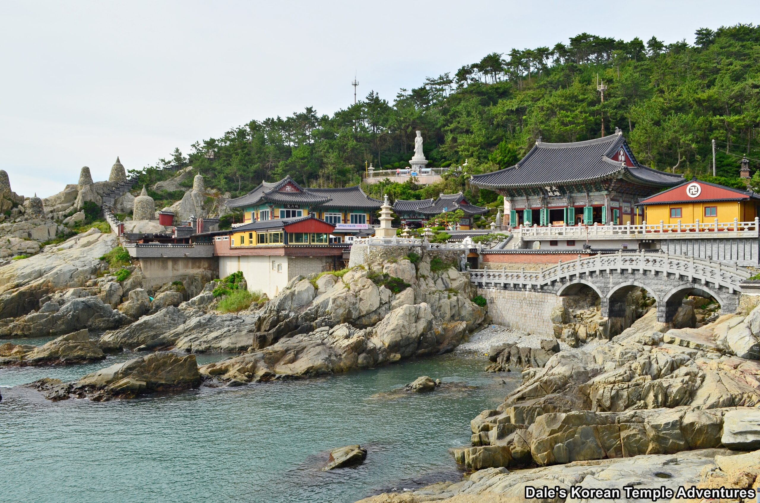 Custom Placeholder Image