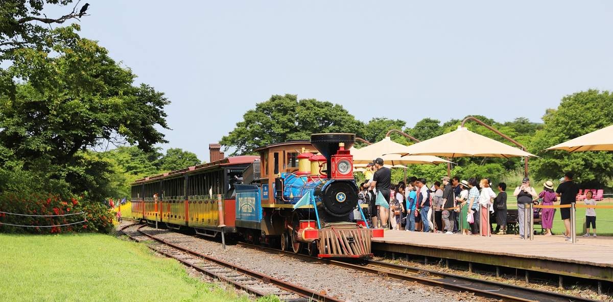 Custom Placeholder Image