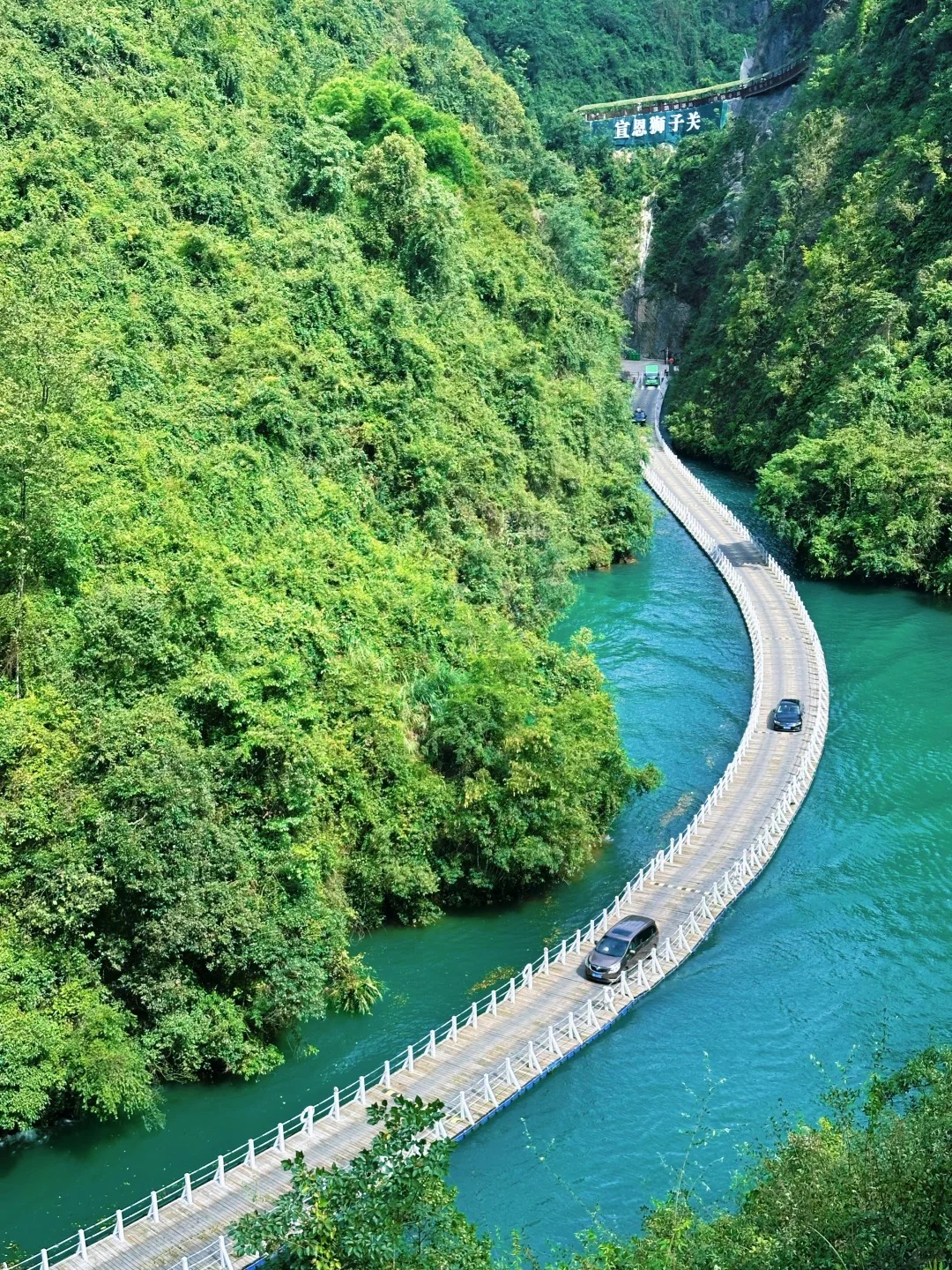 Custom Placeholder Image