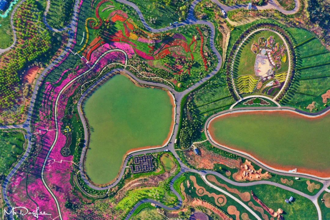 Custom Placeholder Image