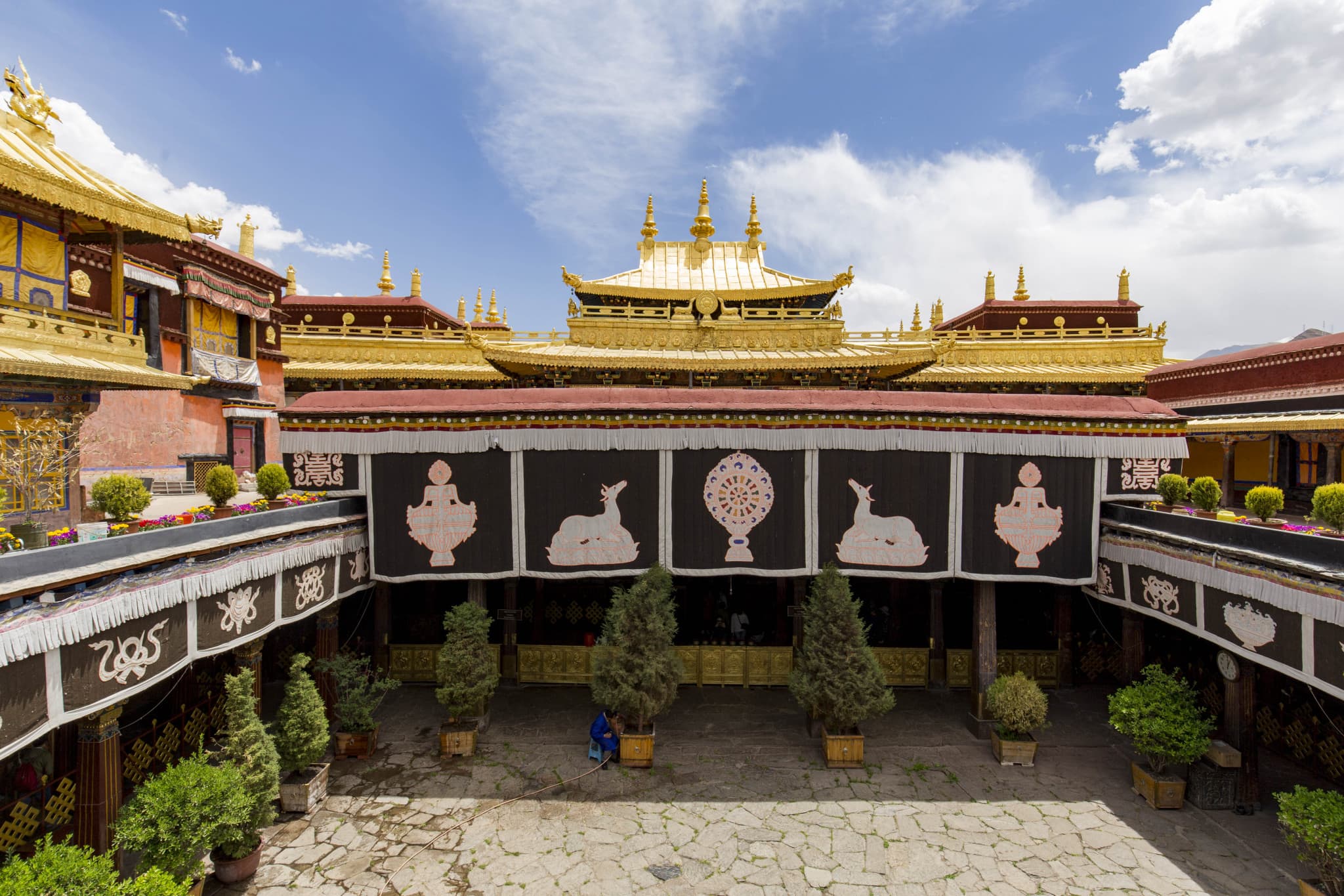 Custom Placeholder Image