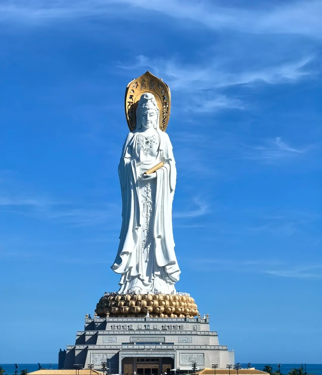 Custom Placeholder Image