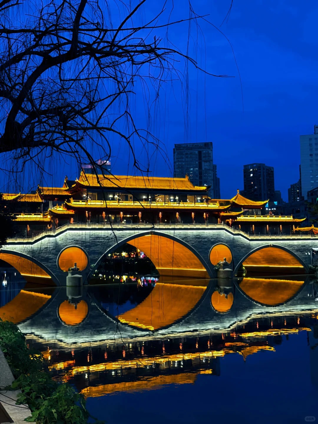 Custom Placeholder Image