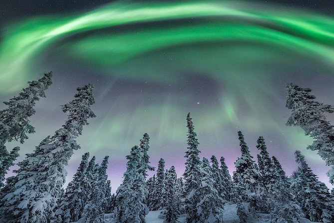 Custom Placeholder Image