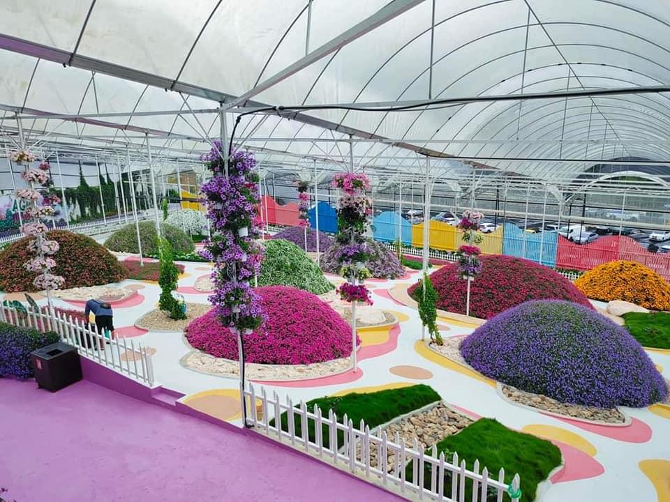 Custom Placeholder Image