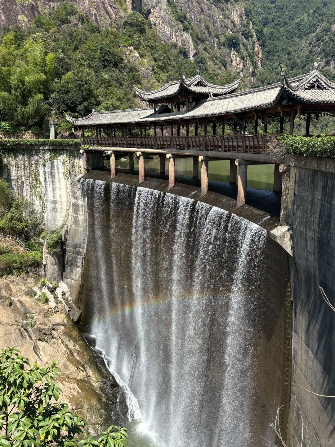 Custom Placeholder Image