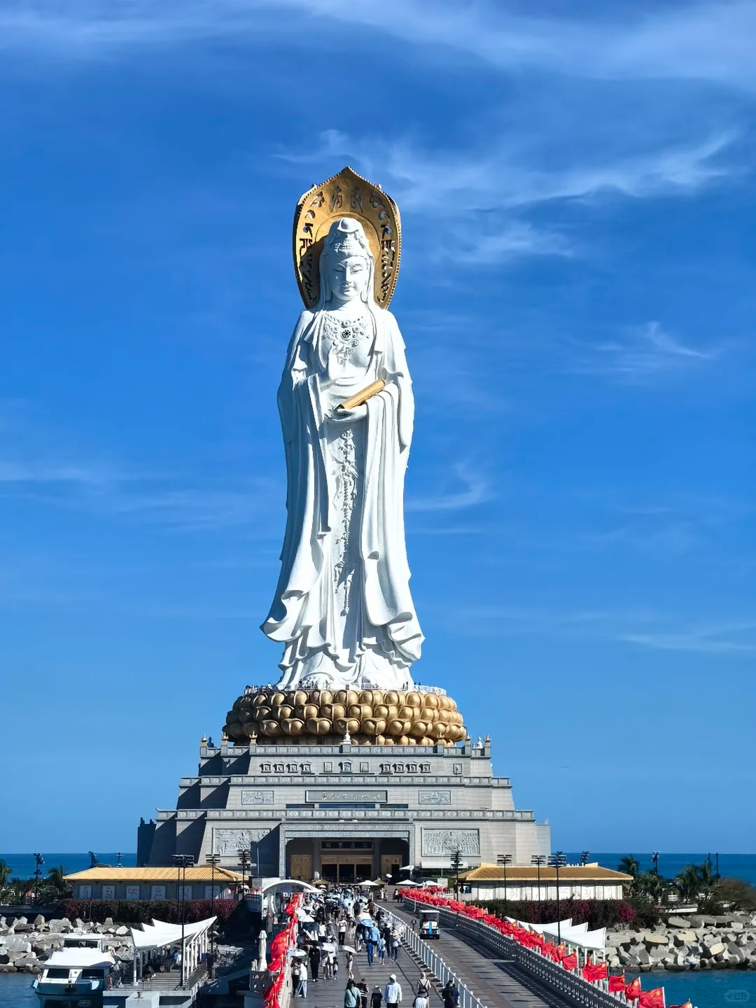 Custom Placeholder Image