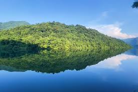 Custom Placeholder Image