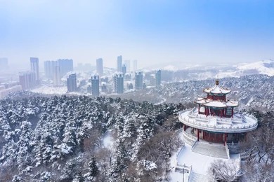 Custom Placeholder Image