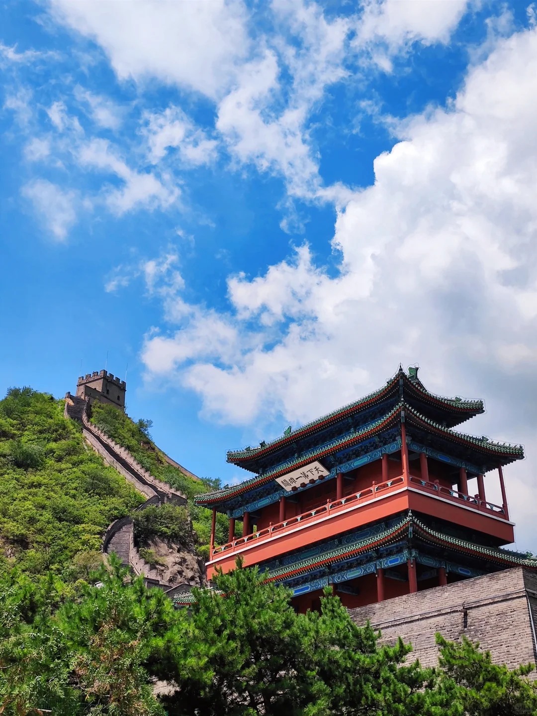 Custom Placeholder Image